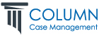 Column Case Management LLC