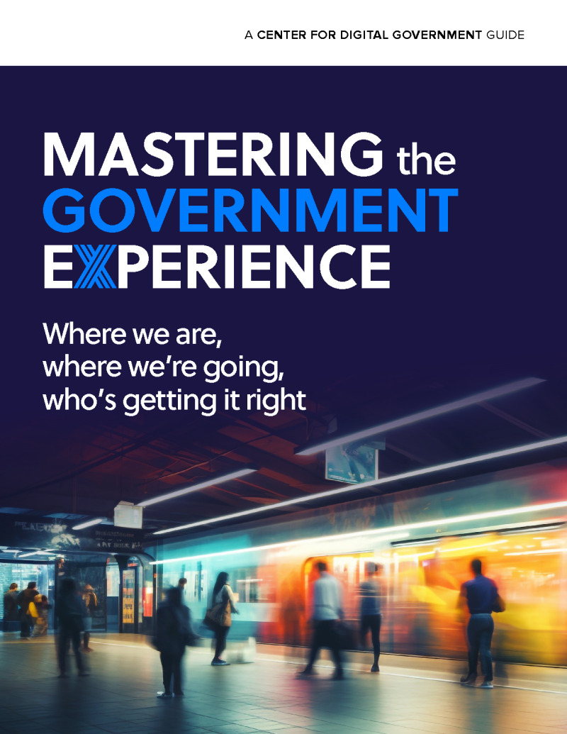 Mastering the Government Experience