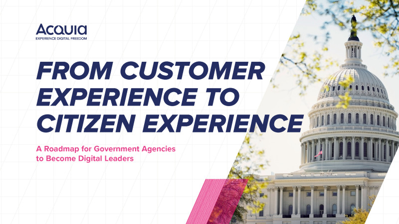 Digital Experience Roadmap for Government Agencies