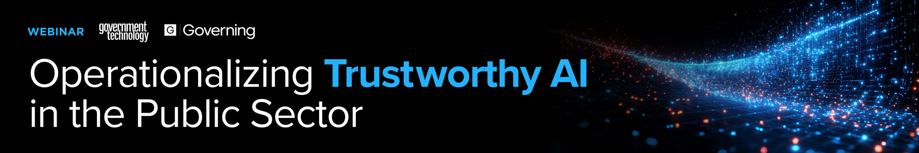Operationalizing Trustworthy AI in the Public Sector Banner