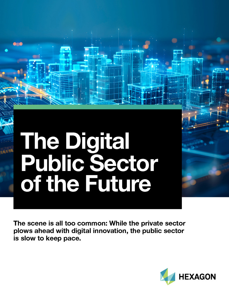 The Digital Public Sector of the Future