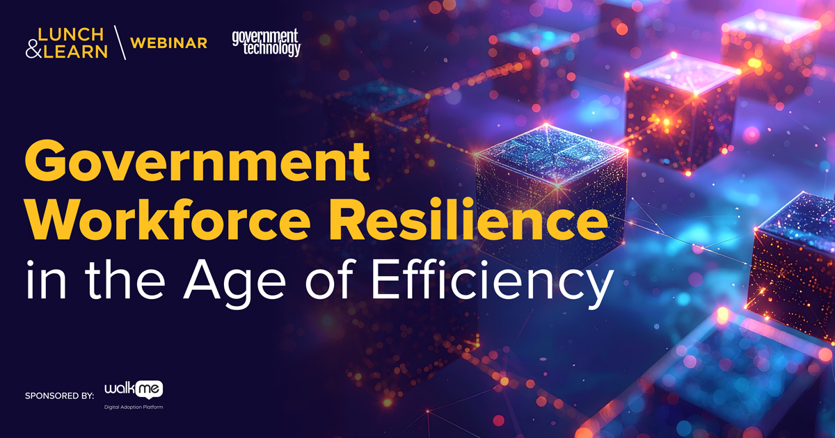Government Workforce Resilience in the Age of Efficiency