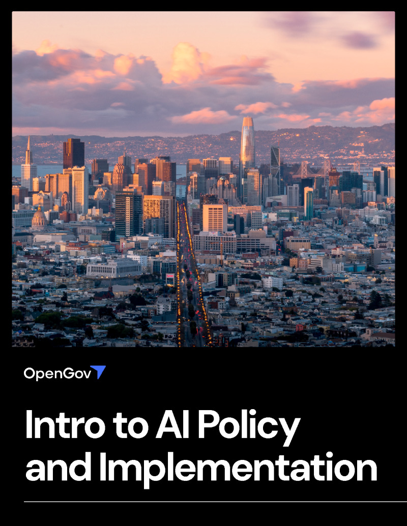 AI Policy and Implementation 101