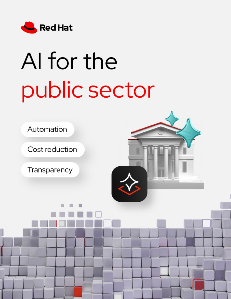 AI for the Public Sector
