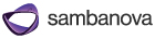 SambaNova