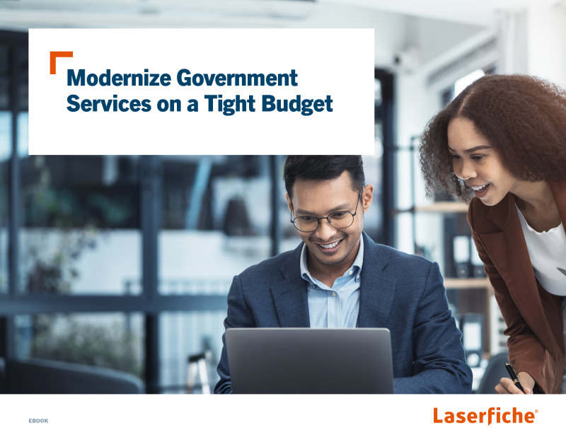 Modernize Government Services on a Tight Budget